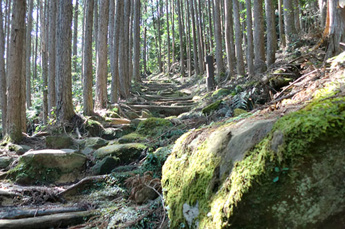 熊野古道散策